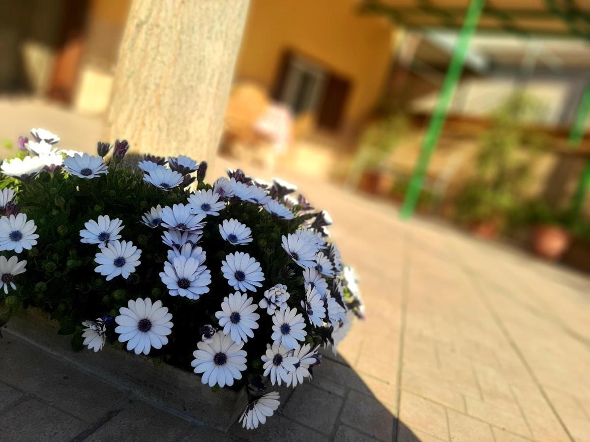 Villa Carrieri Marina di Lizzano Bagian luar foto